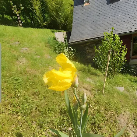 Vakantiehuis La Cardabelle - Pyrenee Ariegeoise *